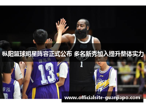 枞阳篮球明星阵容正式公布 多名新秀加入提升整体实力