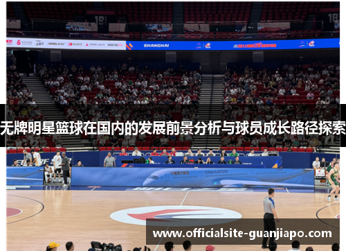 无牌明星篮球在国内的发展前景分析与球员成长路径探索