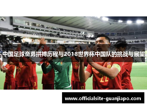 中国足球奋勇拼搏历程与2018世界杯中国队的挑战与展望
