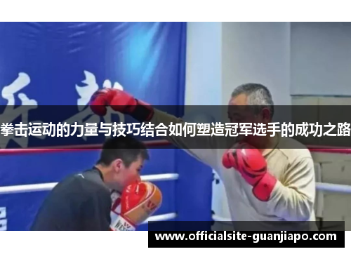 拳击运动的力量与技巧结合如何塑造冠军选手的成功之路