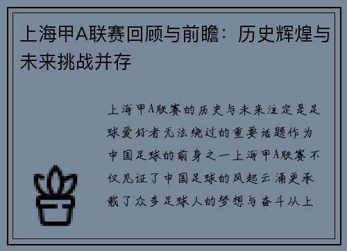 上海甲A联赛回顾与前瞻：历史辉煌与未来挑战并存