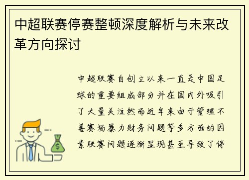 中超联赛停赛整顿深度解析与未来改革方向探讨